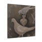 Mourning Dove in Mourning - Canvas