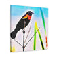 Red-winged Blackbird Glory - Canvas