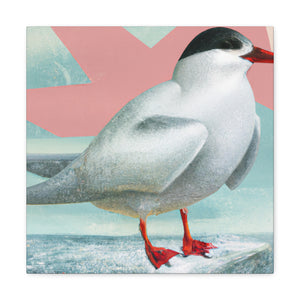 Arctic Tern Brilliance - Canvas