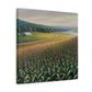 "Corn Field Splendor" - Canvas