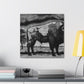 Bison on the Prairie - Canvas