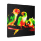 "Conure Rainbow Colors" - Canvas