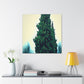 Cypress in Moonlight Shine - Canvas