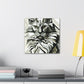 Maine Coon Splendor - Canvas