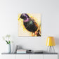 "European Starling Sculpture" - Canvas