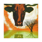 Lonely Texas Longhorn - Canvas