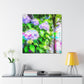 "Hydrangea in Bloom". - Canvas