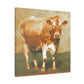 "Jersey Cow Reflection Scene" - Canvas