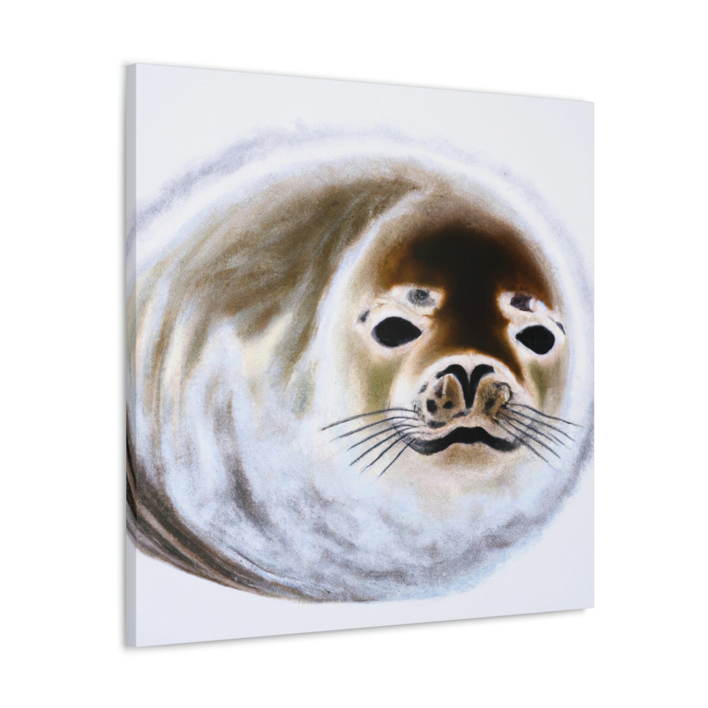 Harp Seal Slumbering - Canvas