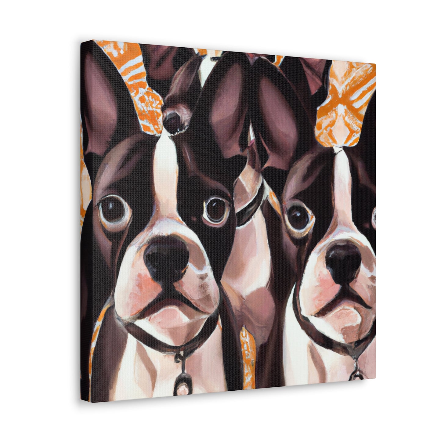 "Boston Terrier Splendour" - Canvas