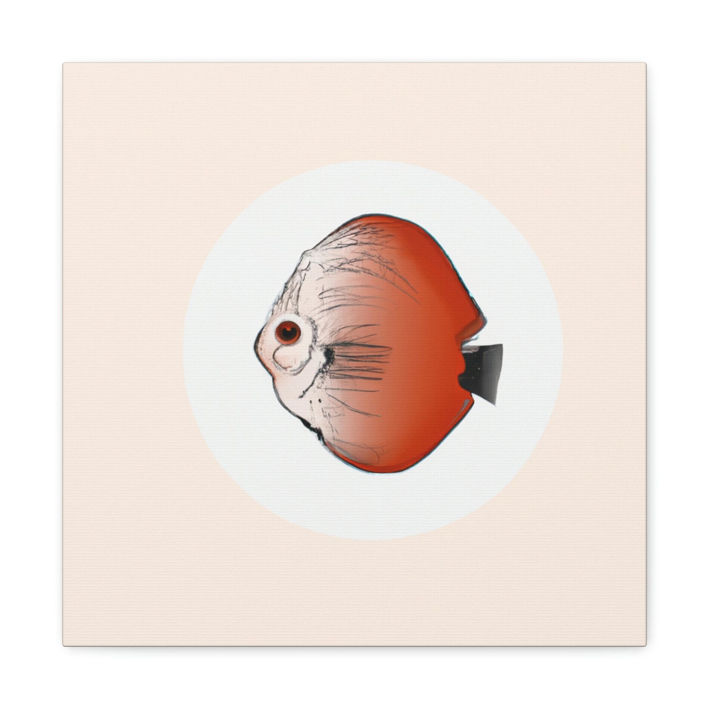 Serene Sunlit Discus - Canvas