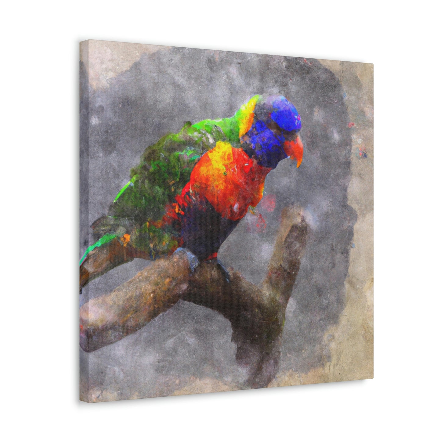 Rainbow Lorikeet Points - Canvas