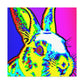 Rabbit in Pop Art - Canvas