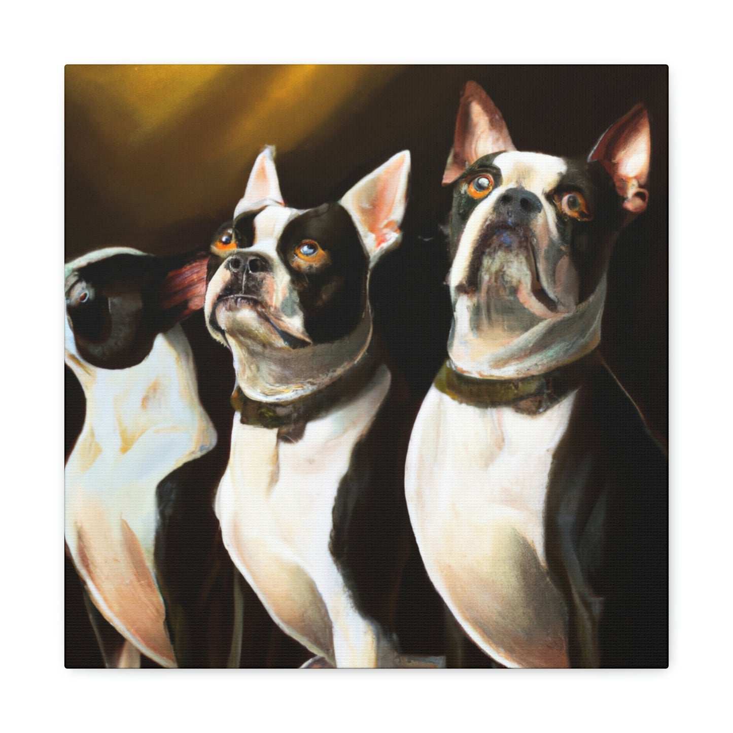 "Boston Terrier Elegance". - Canvas