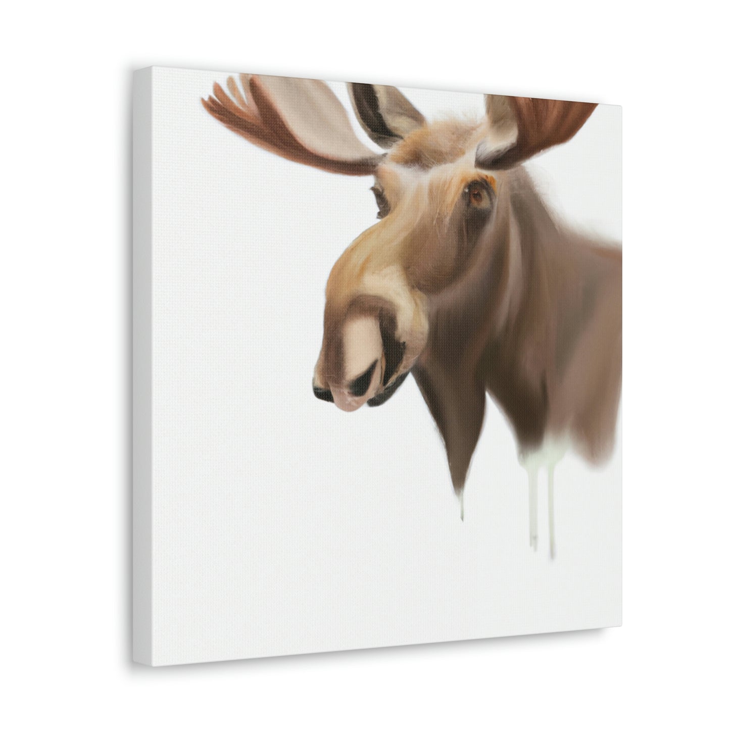 Moose in Winter Light - Canvas