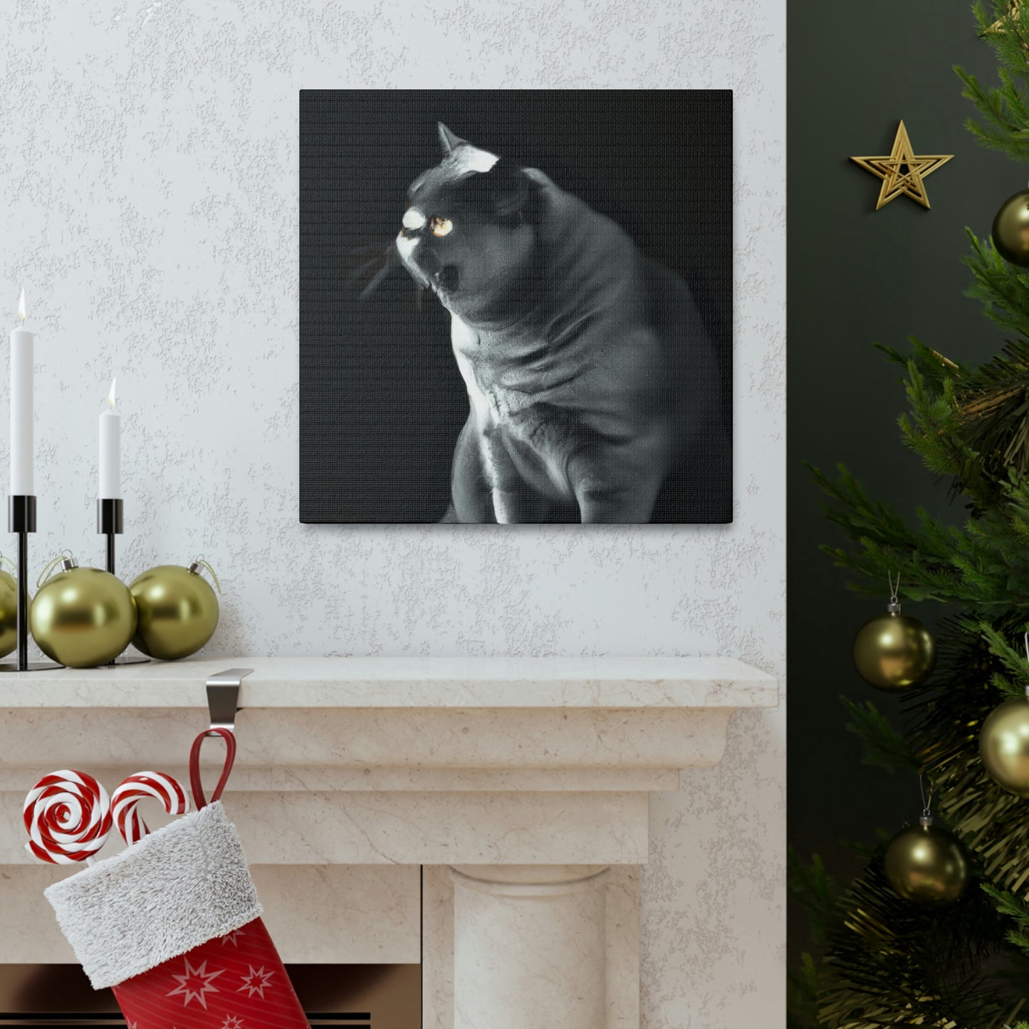 "British Shorthair Slumber" - Canvas