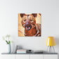 Tasmanian Tiger Reflection - Canvas