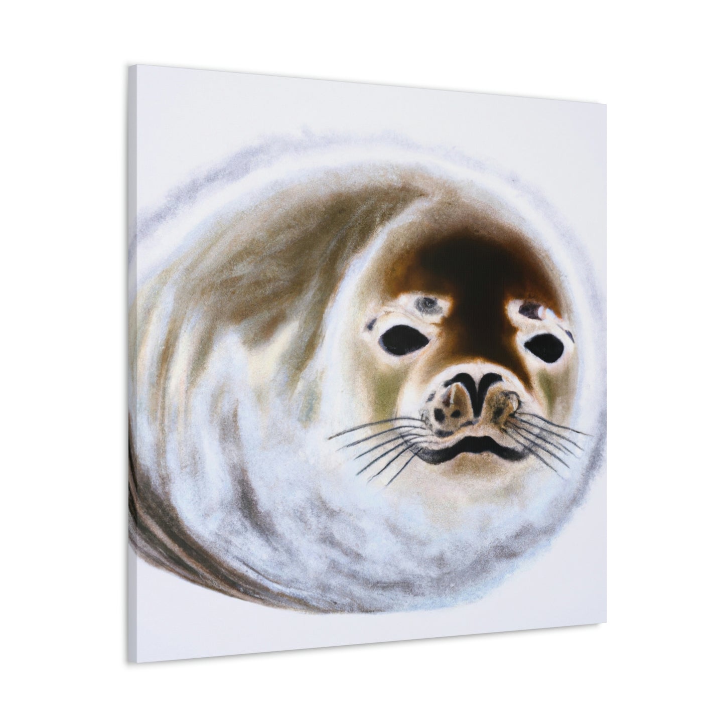 Harp Seal Slumbering - Canvas