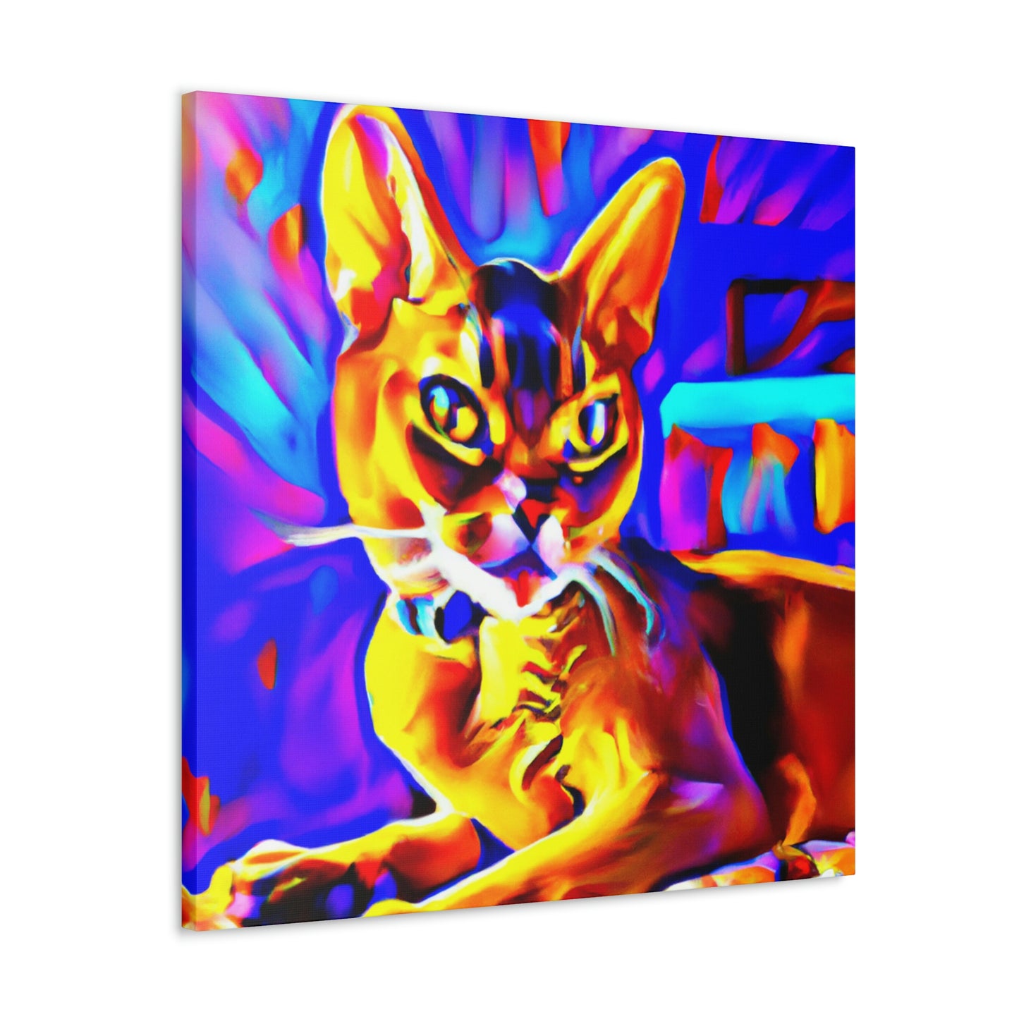 Abyssinian Pop Splendor - Canvas