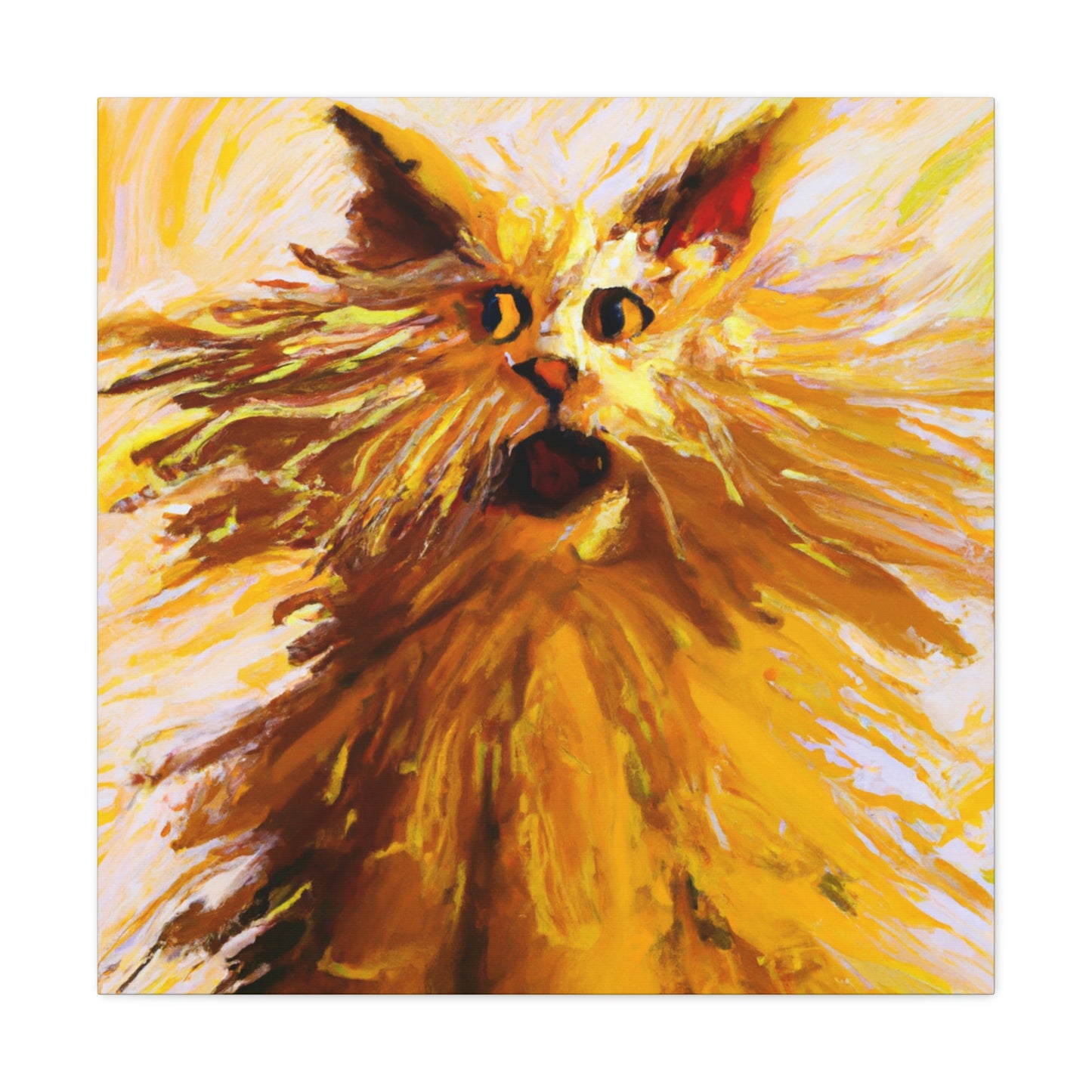 Maine Coon Awe. - Canvas