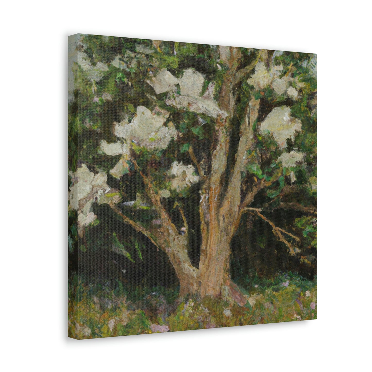 Magnolia of Abstraction - Canvas