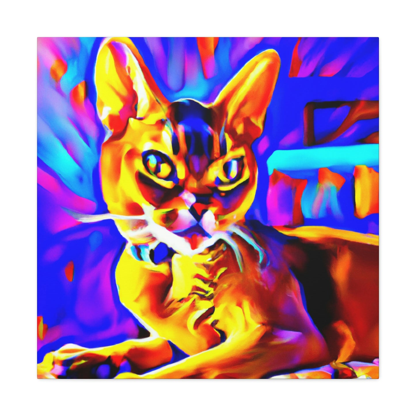 Abyssinian Pop Splendor - Canvas