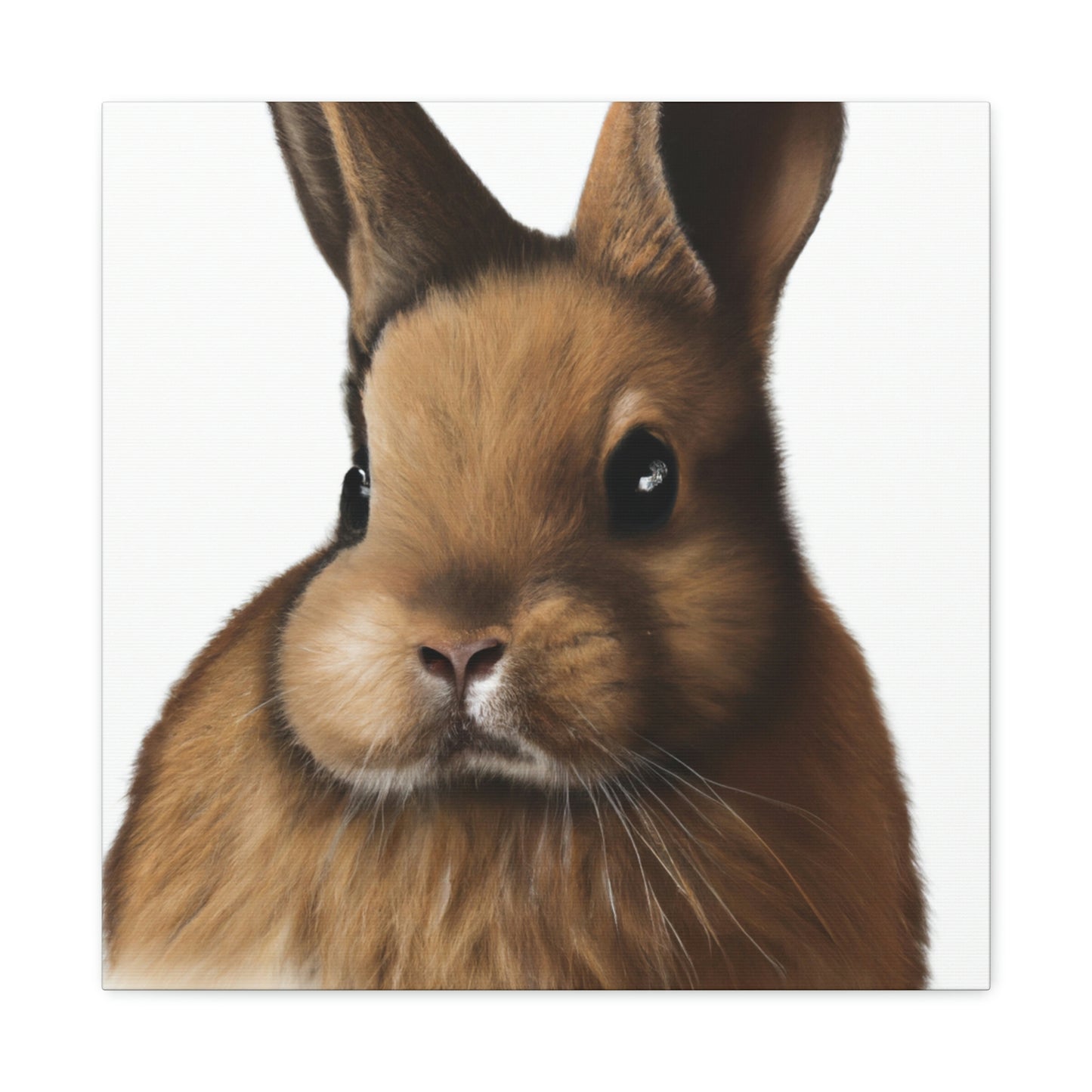 "Rabbit in Springtime" - Canvas