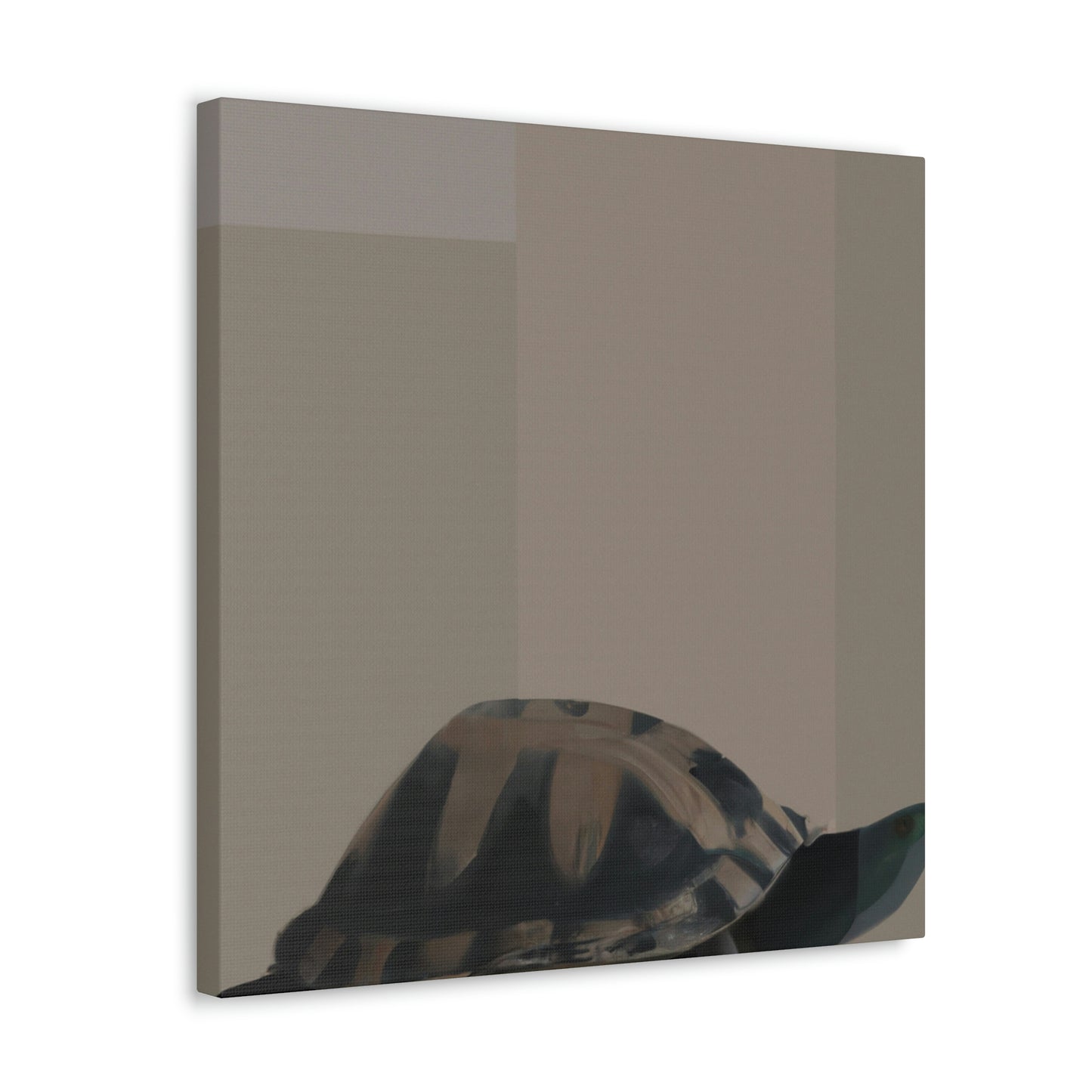 "Box Turtle Reflection" - Canvas