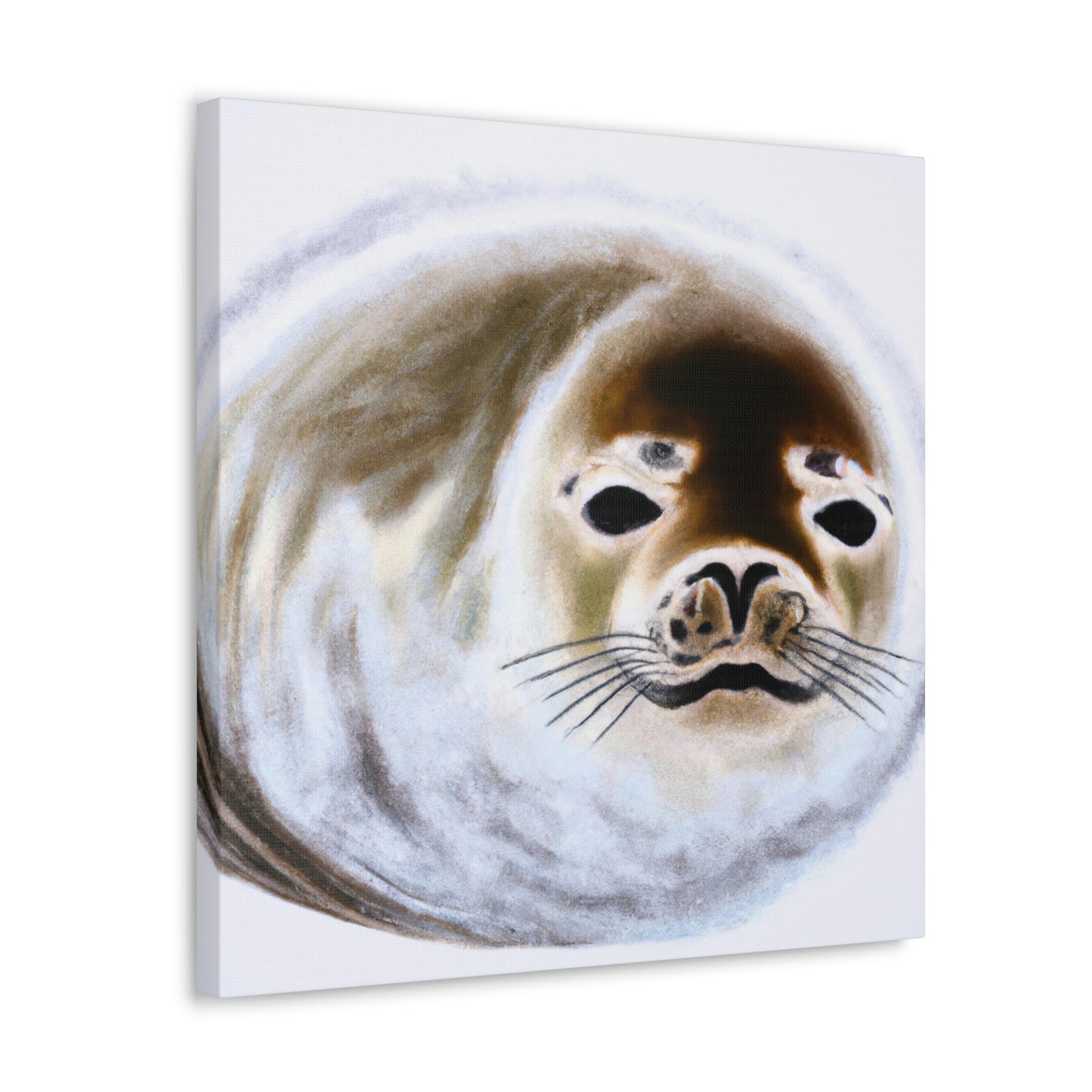 Harp Seal Slumbering - Canvas