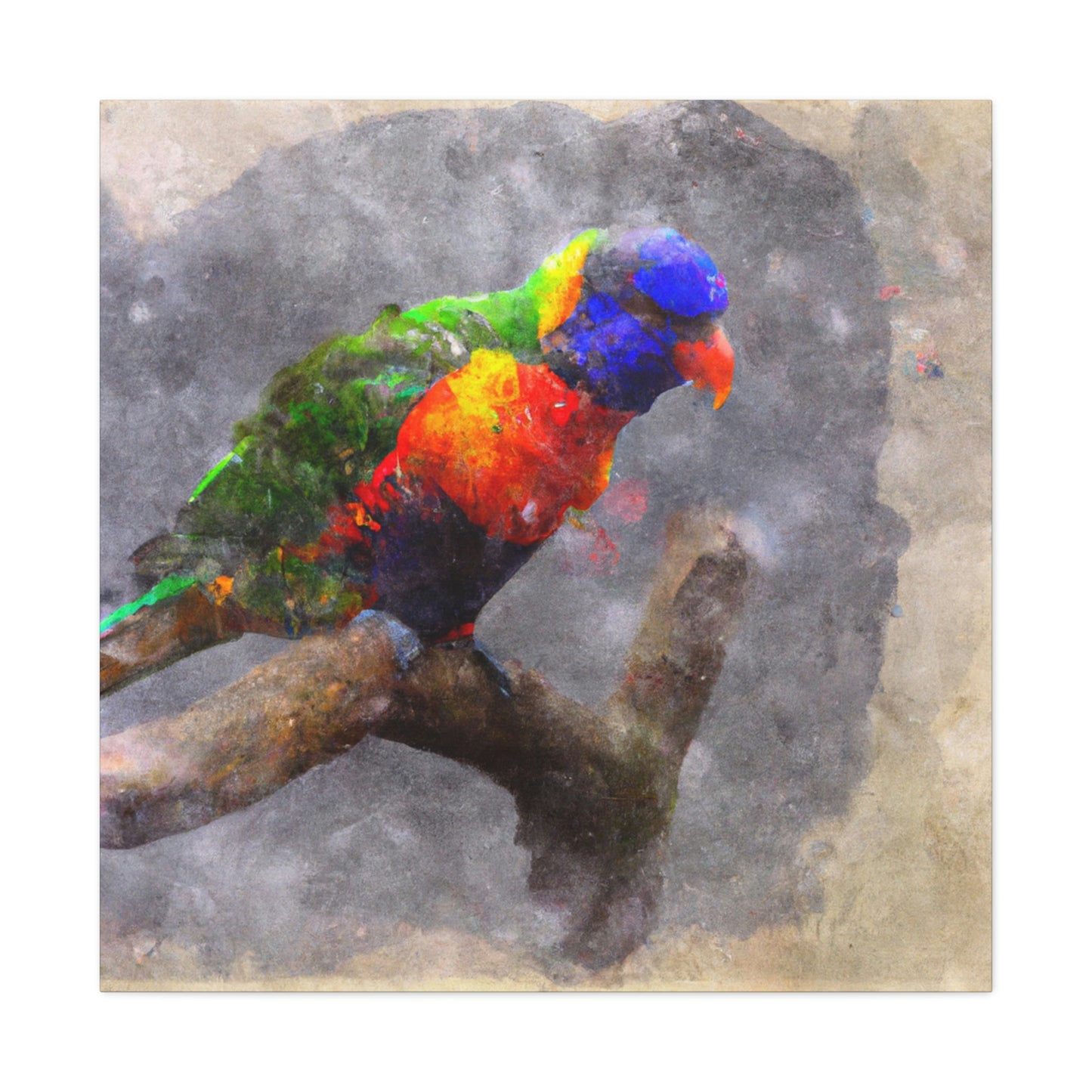 Rainbow Lorikeet Points - Canvas