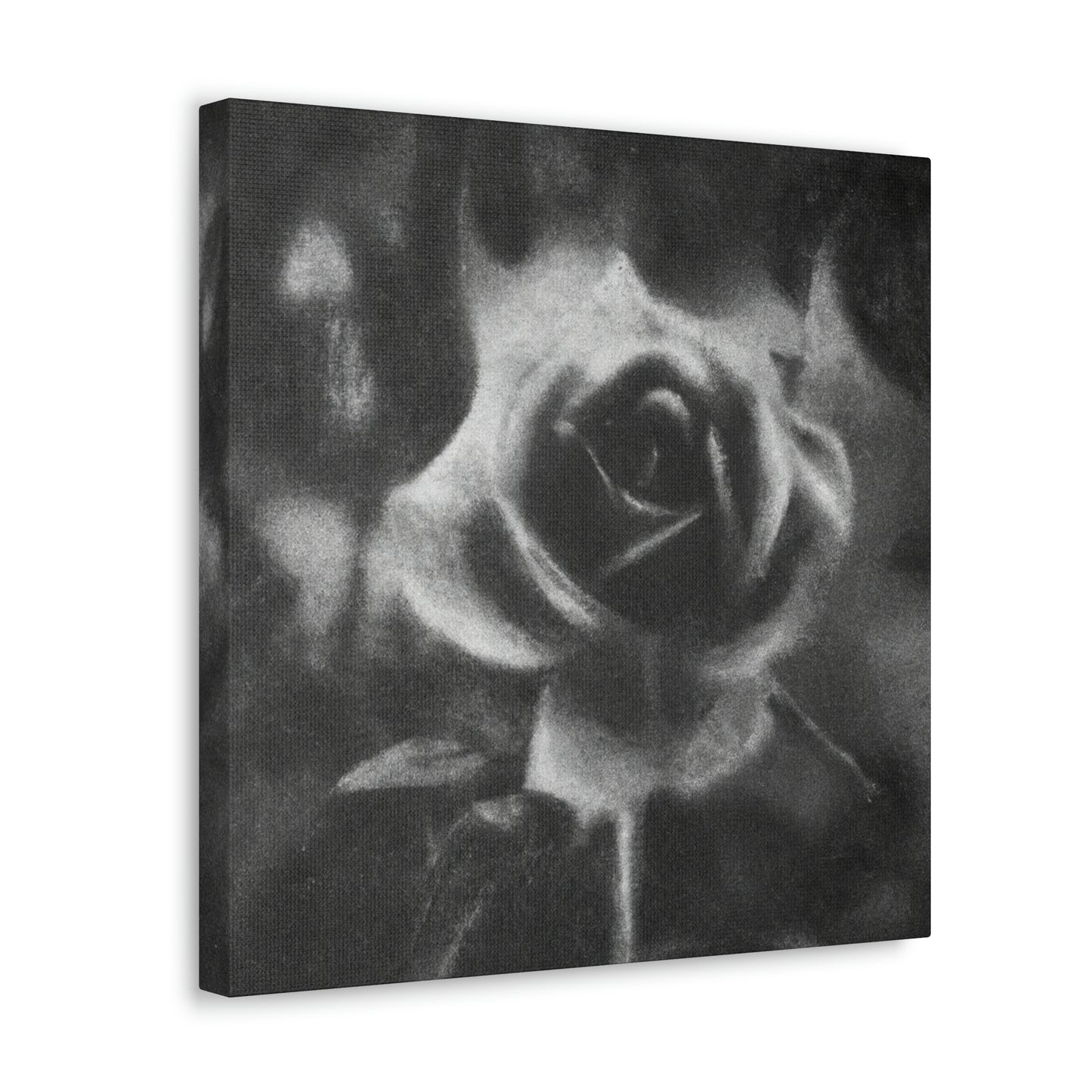 Rose of Eternal Beauty - Canvas