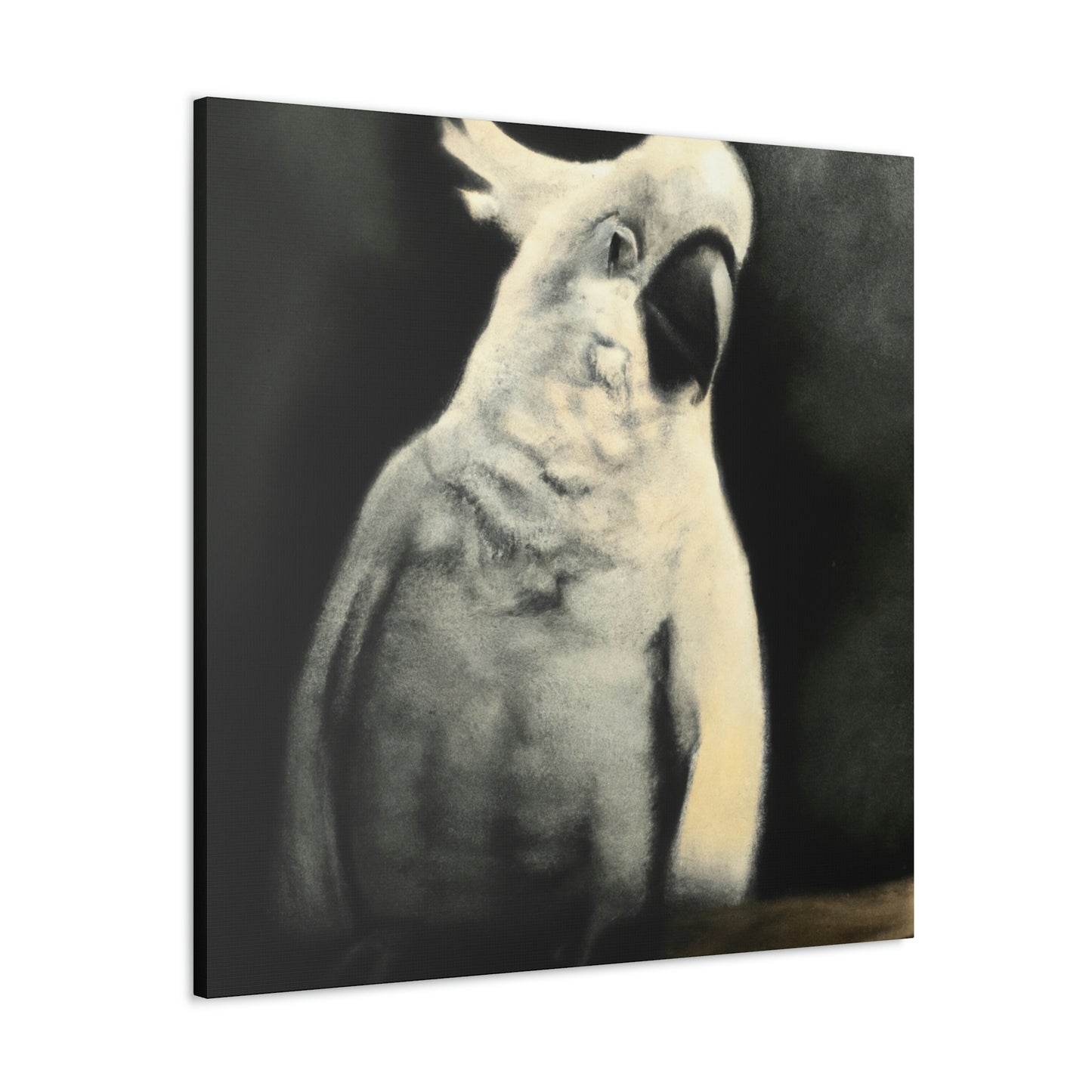 Cockatoo Reflection Dream - Canvas