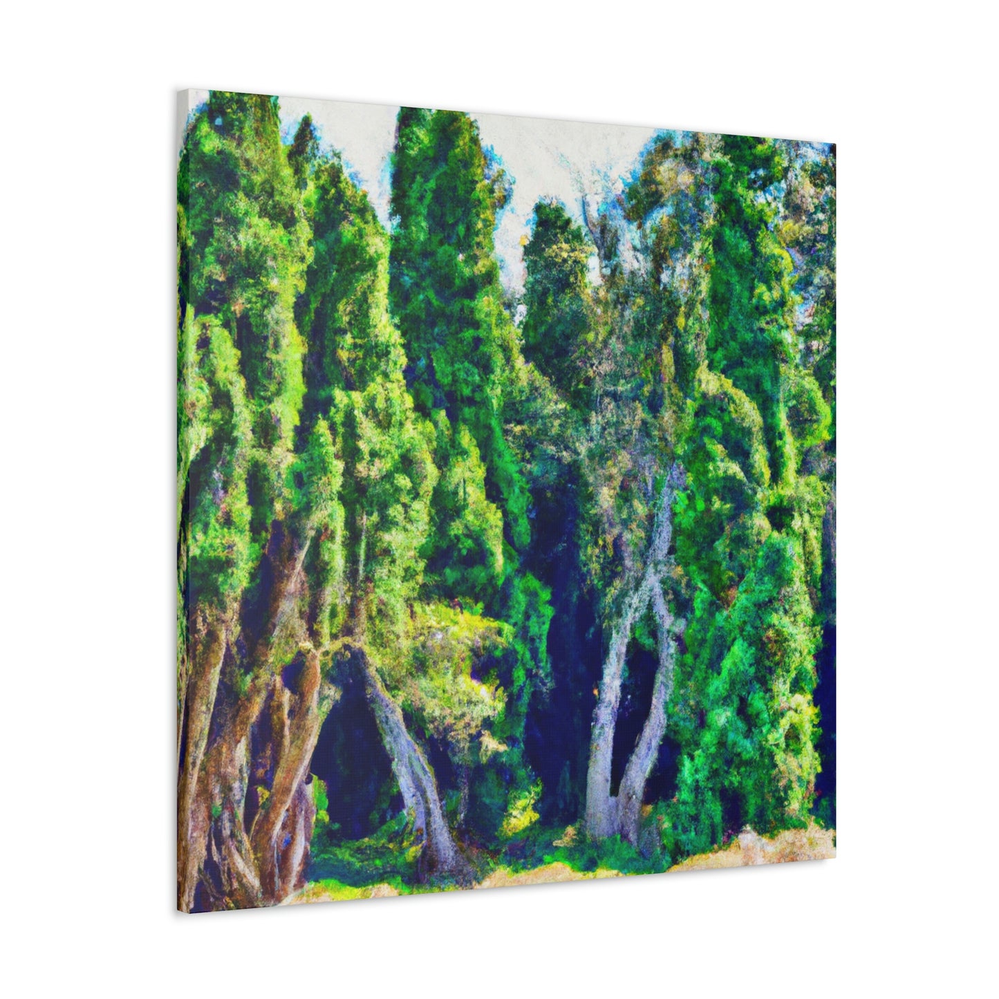 Cypress Haunting Beauty - Canvas