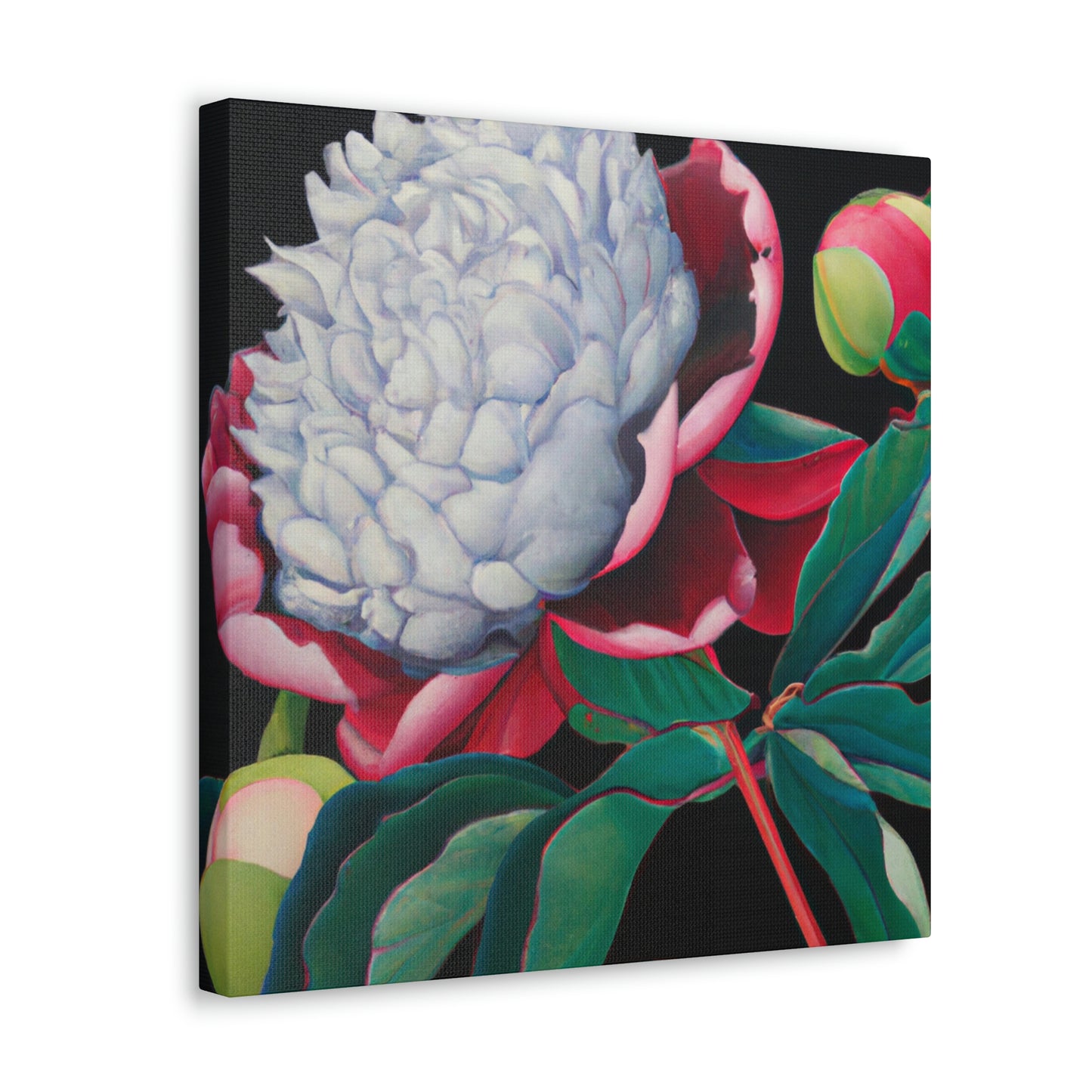 "Flamboyant Peony Bloom" - Canvas