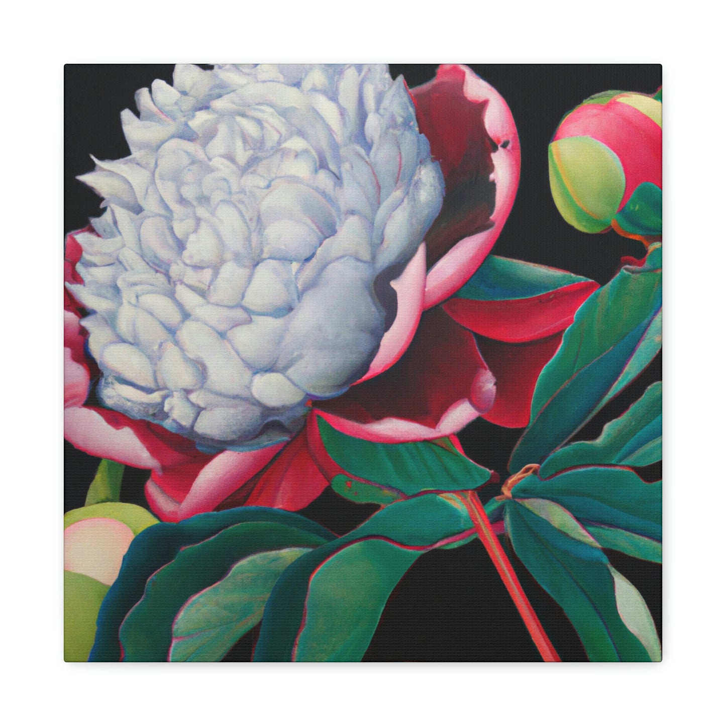 "Flamboyant Peony Bloom" - Canvas