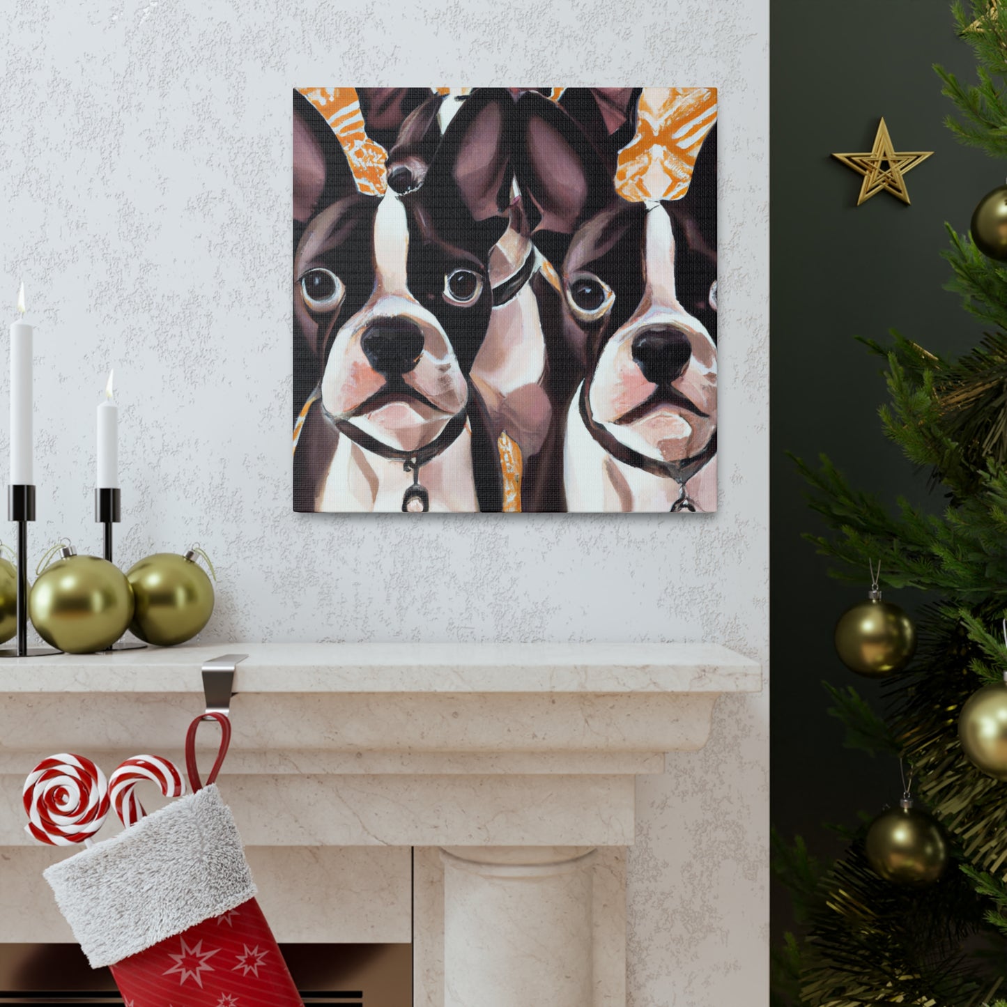 "Boston Terrier Splendour" - Canvas