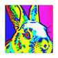 Rabbit in Pop Art - Canvas