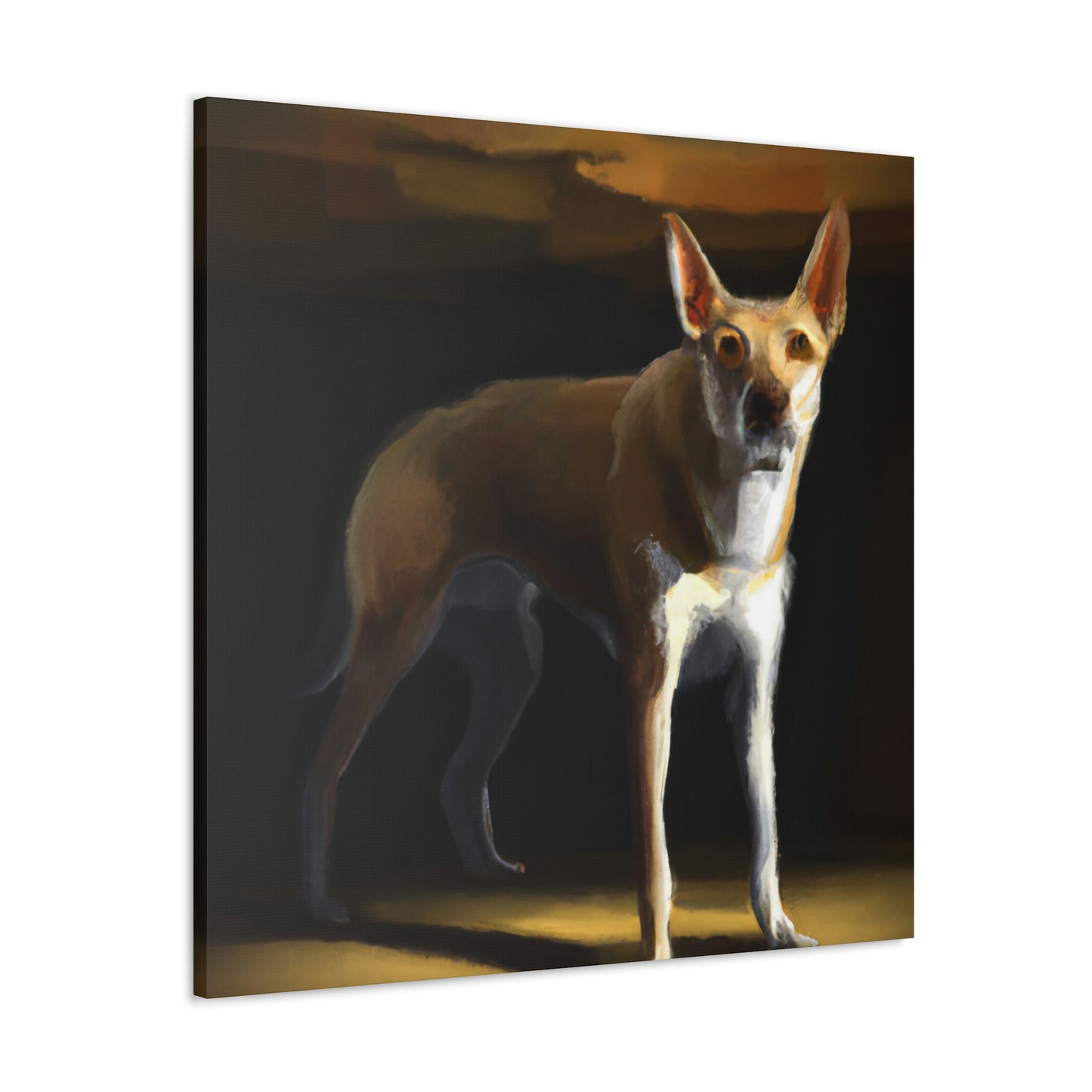 Dingo Dreams in Color - Canvas