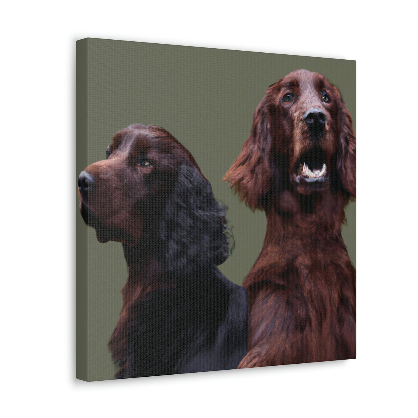 "A Simple Irish Setter" - Canvas