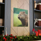 "Wombat in Landscape" - Canvas