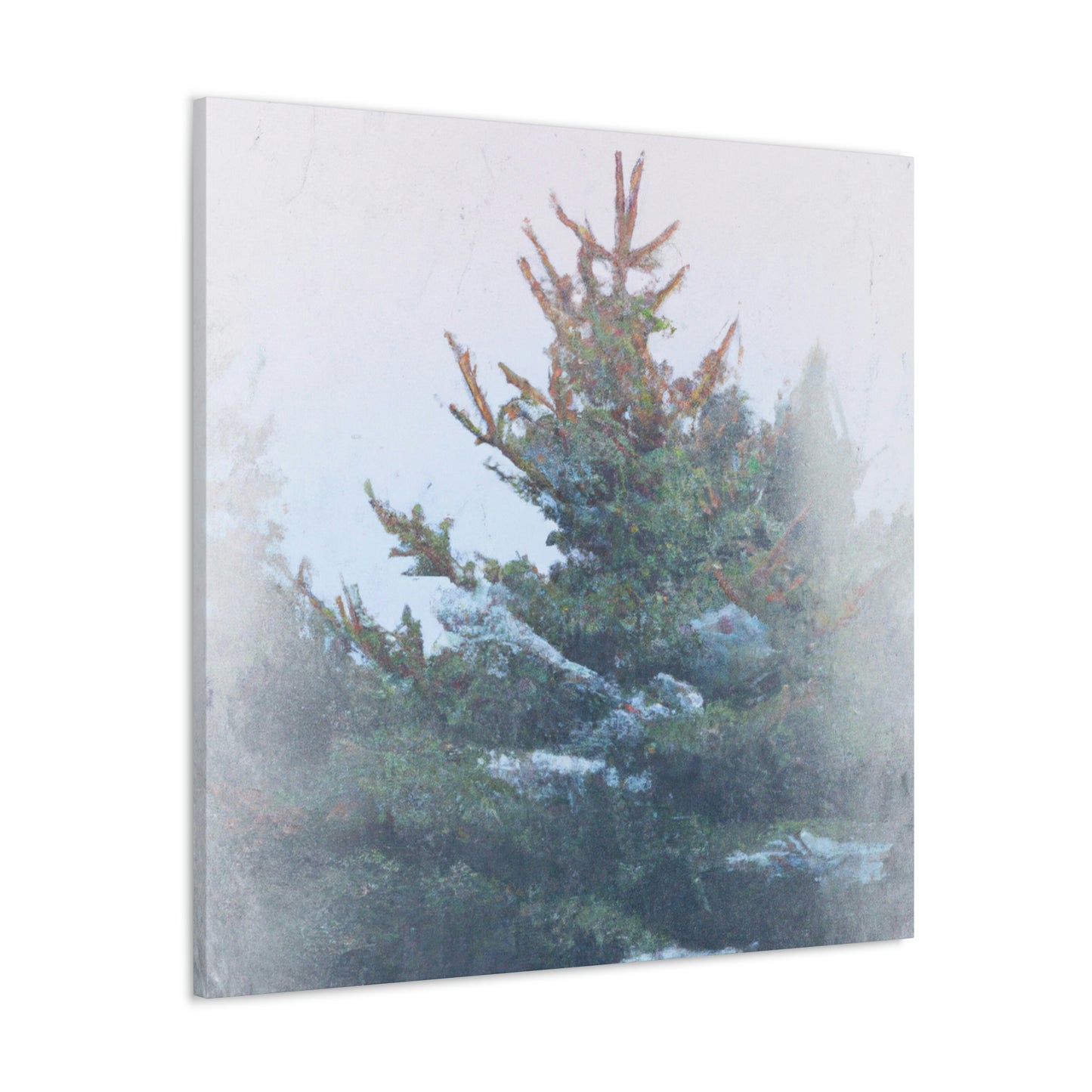 Spruce in the Woods - Canvas