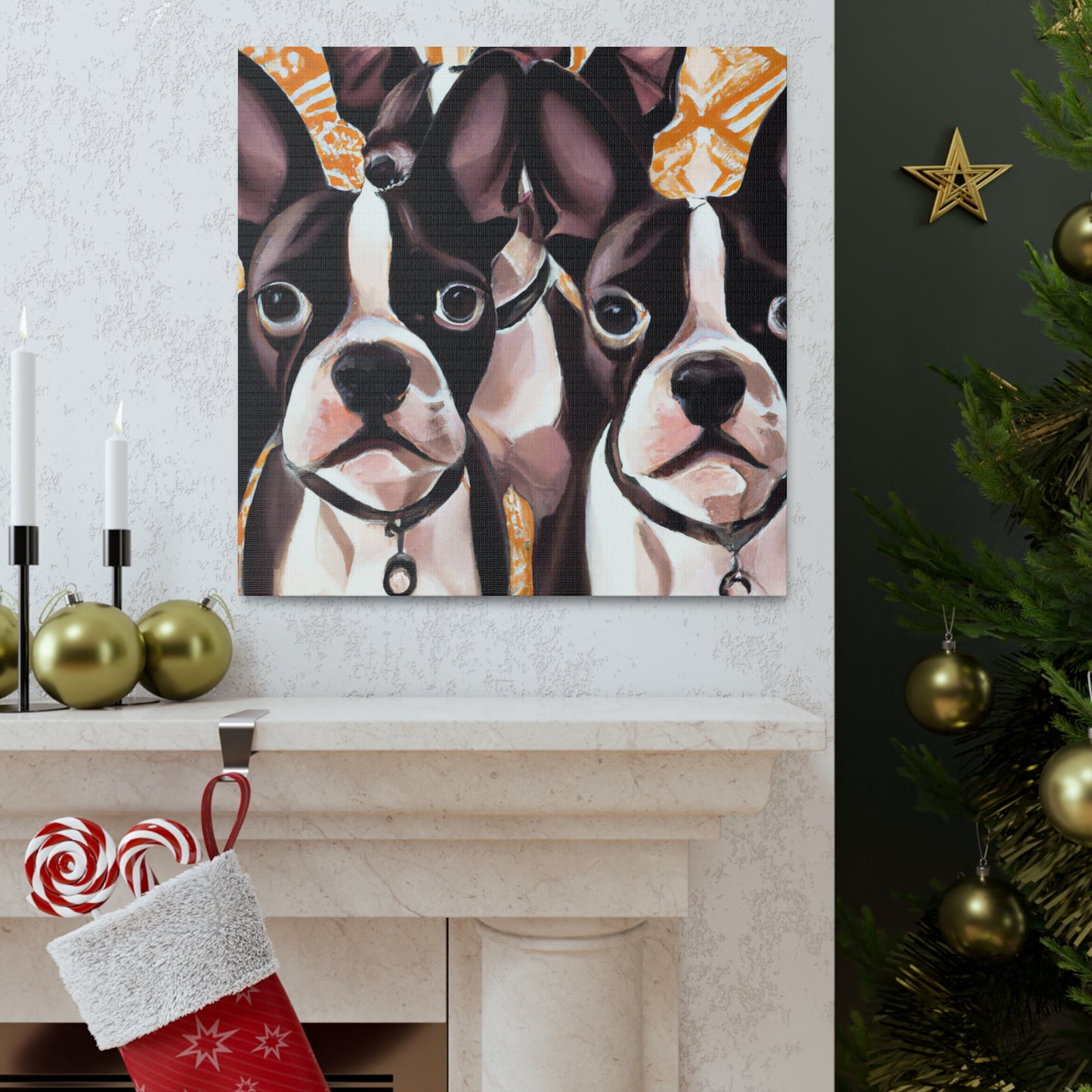 "Boston Terrier Splendour" - Canvas