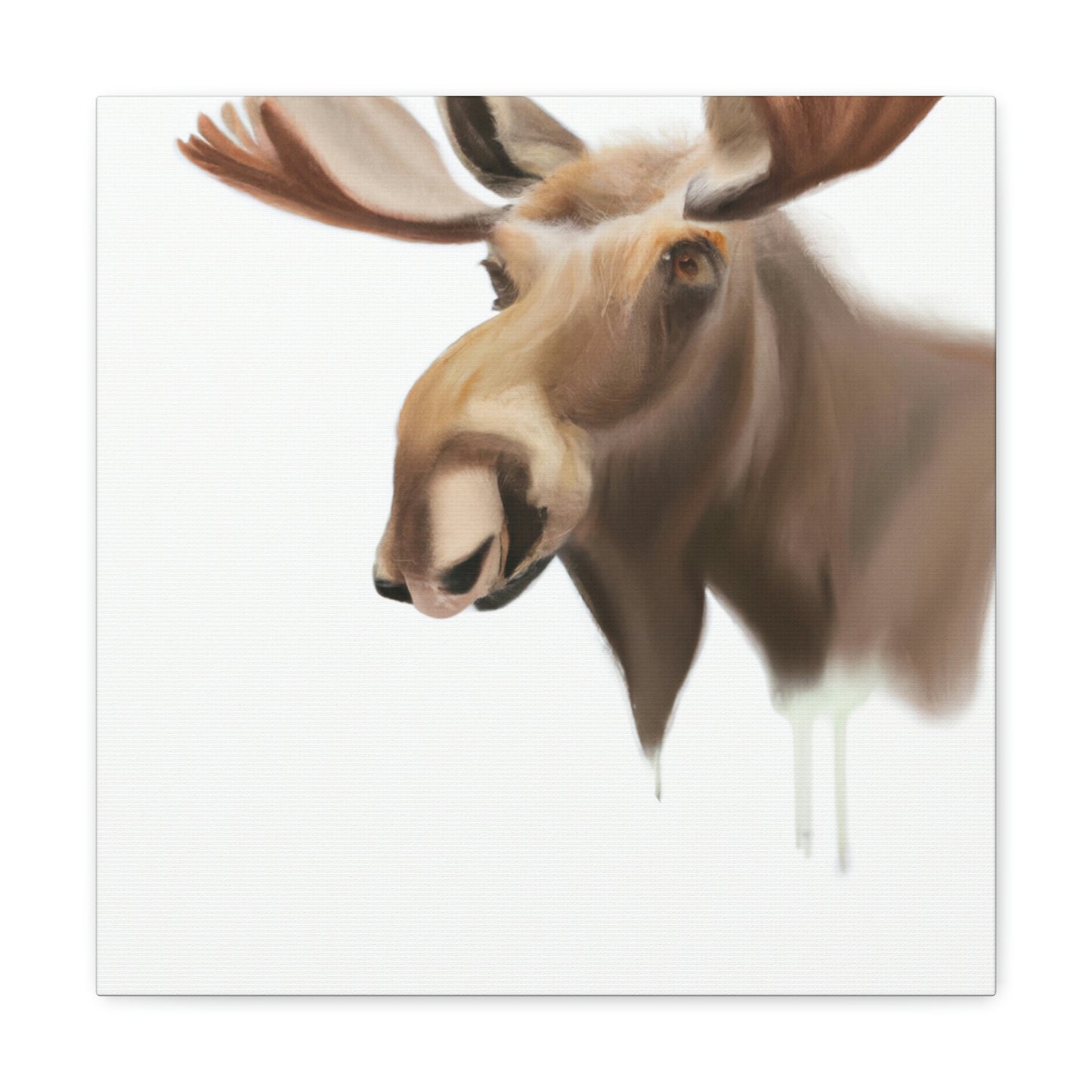 Moose in Winter Light - Canvas