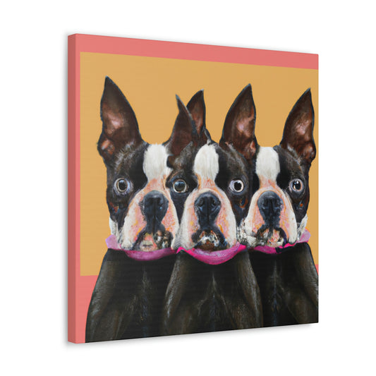 "Boston Terrier Minimalism" - Canvas