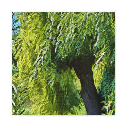 Willow by Moonlight - Canvas