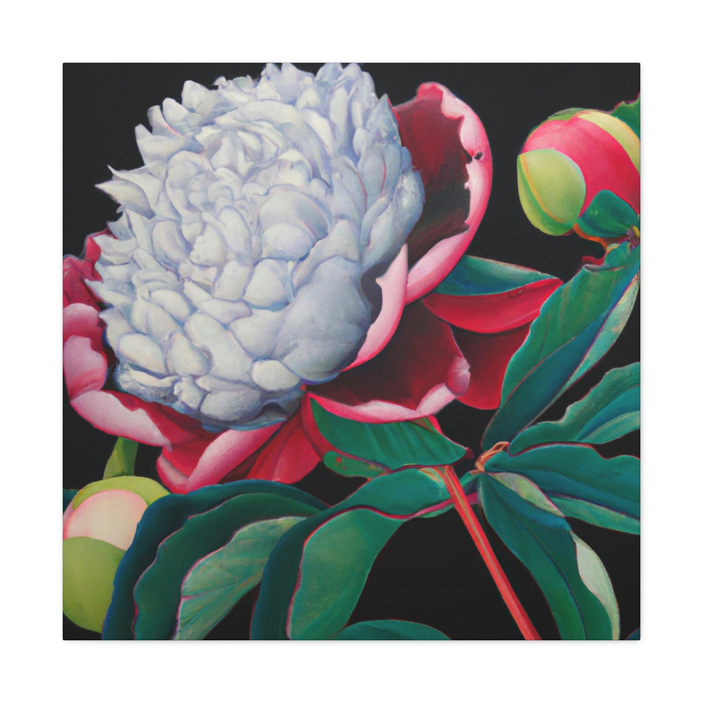 "Flamboyant Peony Bloom" - Canvas