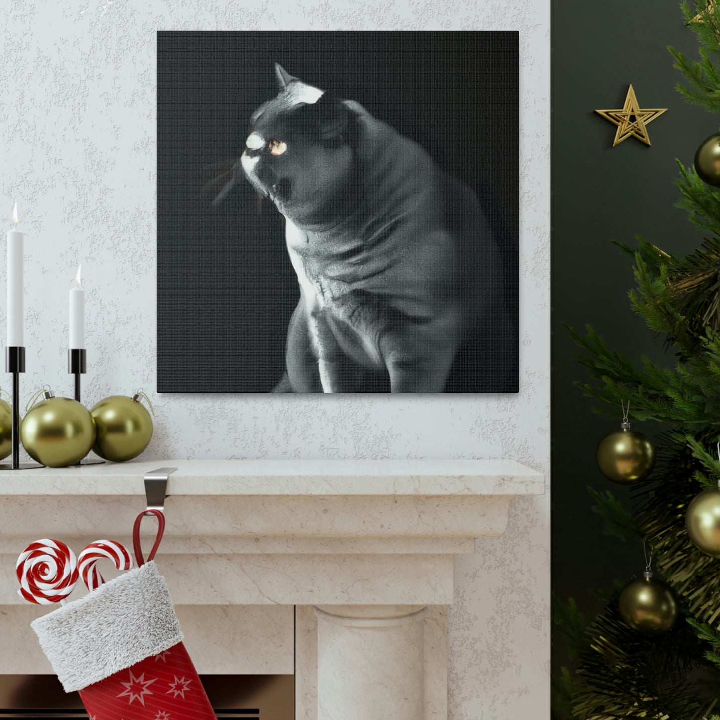 "British Shorthair Slumber" - Canvas