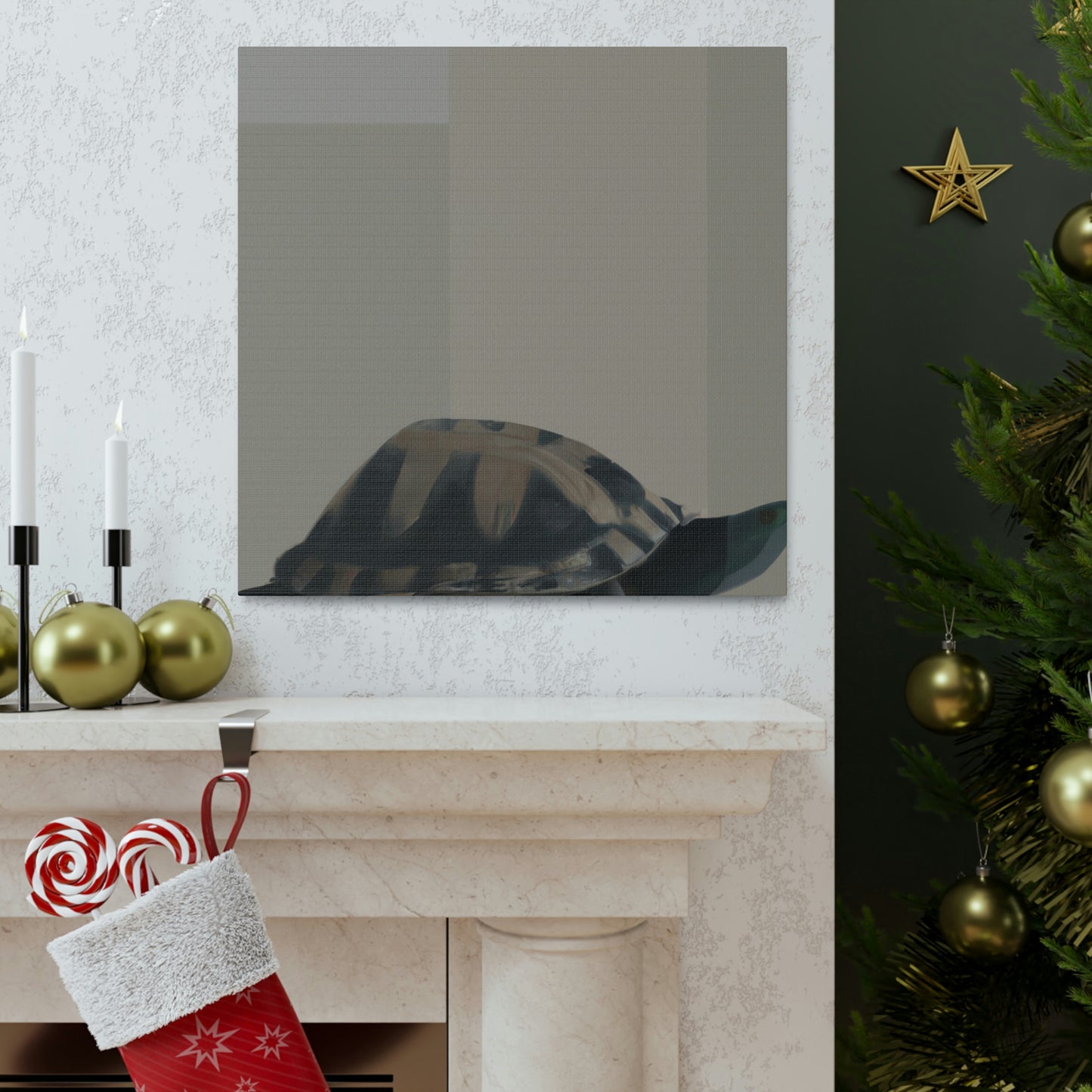 "Box Turtle Reflection" - Canvas