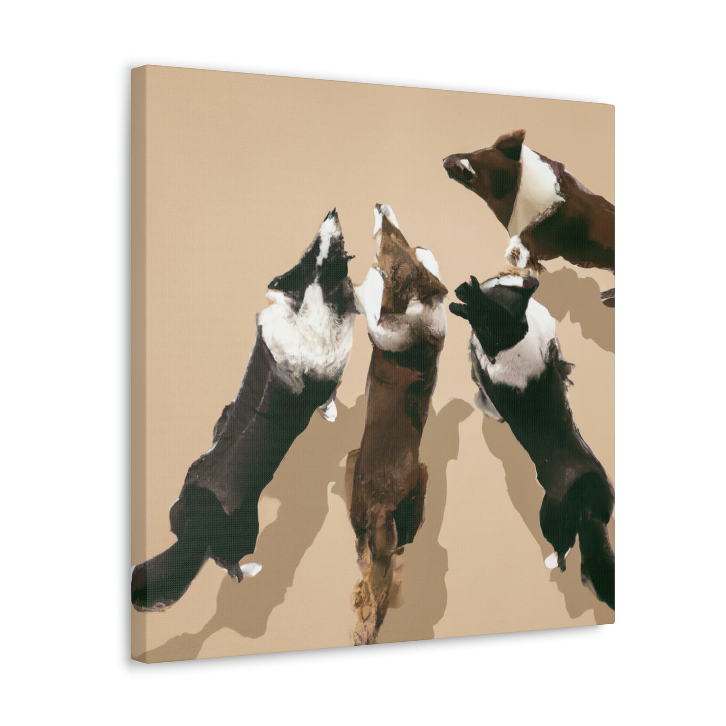 "Border Collie Brandish". - Canvas