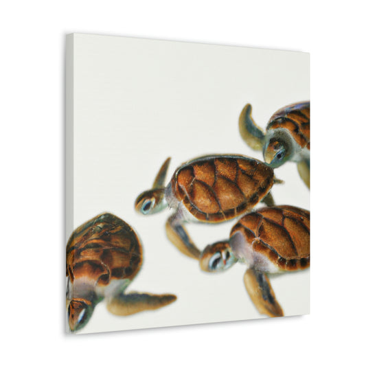 Sea Turtles Abound - Canvas